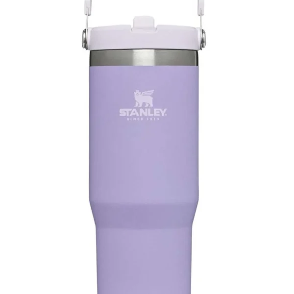 Stanley Stainless Steel Tumbler - Vacuum Insulated Water Bottle for Home, Office or Car Reusable Cup